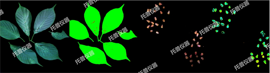 高光谱植物数字表型采集分析系统