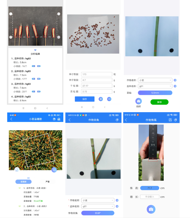 小麦表型检测系统—小麦生长全生命周期表型综合检测