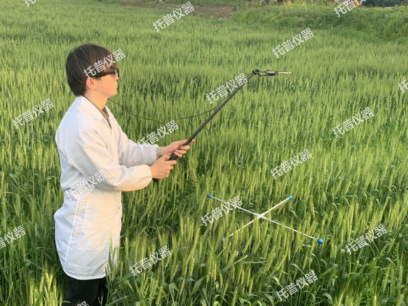 小麦亩穗数测量系统—快速，简单获得小麦产量信息的黑科技