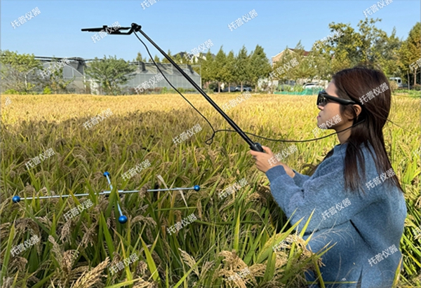 托普水稻亩穗数测量系统助力水稻测产精准高效