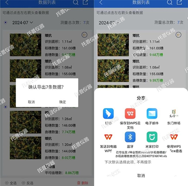 托普水稻亩穗数测量系统助力水稻测产精准高效