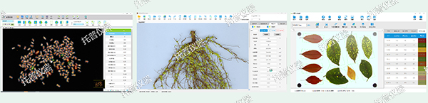托普云农高通量植物表型采集分析平台全新上线！