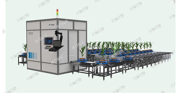 植物数字表型采集分析系统—高通量、高精度，植物表型测量理想之选!