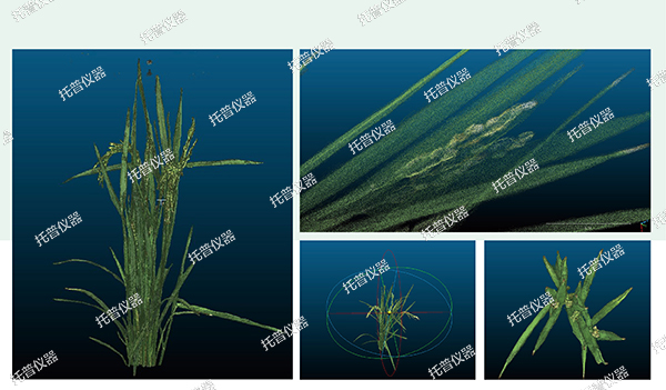 植物数字表型采集分析系统—高通量、高精度，植物表型测量理想之选!